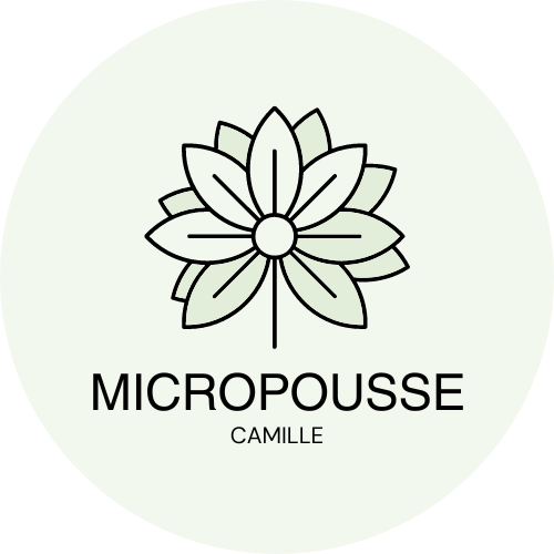 culture micro pousse à la maison par Camille